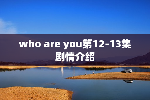 who are you第12-13集剧情介绍