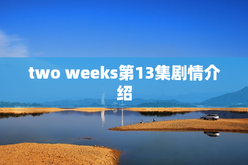two weeks第13集剧情介绍