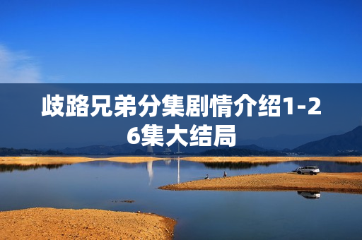 歧路兄弟分集剧情介绍1-26集大结局