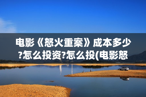 电影《怒火重案》成本多少?怎么投资?怎么投(电影怒火重案国语高清版在线观看)