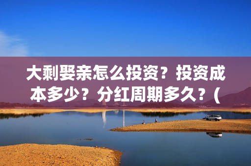 大剩娶亲怎么投资？投资成本多少？分红周期多久？(大剩娶亲有哪个公司出品)