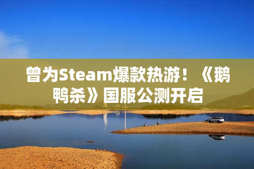 曾为Steam爆款热游！《鹅鸭杀》国服公测开启