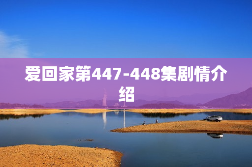 爱回家第447-448集剧情介绍 爱回家第447-448集剧情介绍