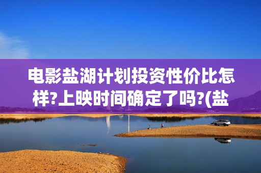 电影盐湖计划投资性价比怎样?上映时间确定了吗?(盐湖计划上映)