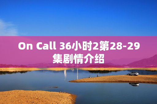 On Call 36小时2第28-29集剧情介绍