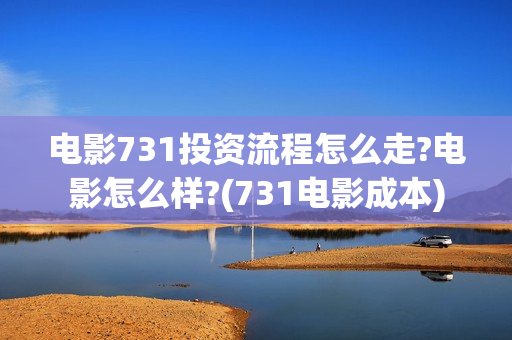 电影731投资流程怎么走?电影怎么样?(731电影成本)