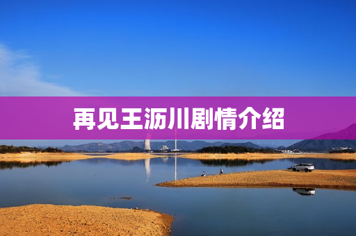 再见王沥川剧情介绍