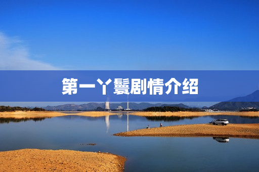 第一丫鬟剧情介绍