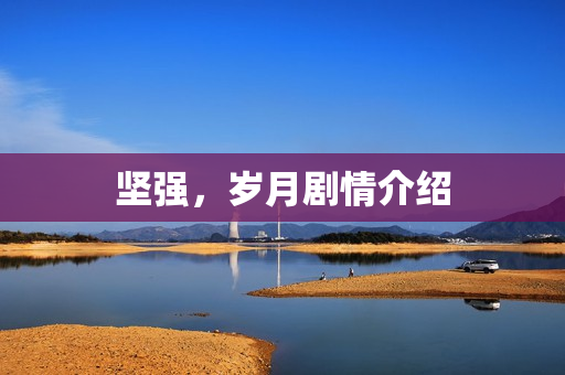 坚强，岁月剧情介绍