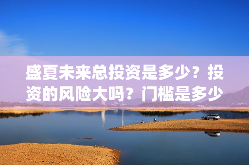 盛夏未来总投资是多少？投资的风险大吗？门槛是多少？(盛夏未来 投资方)