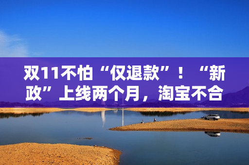 双11不怕“仅退款”!“新政”上线两个月,淘宝不合理“仅退款”全方位得到整治 双11不怕“仅退款”!“新政”上线两个月,淘宝不合理“仅退款”全方位得到整治