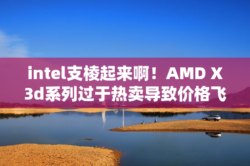 intel支棱起来啊！AMD X3d系列过于热卖导致价格飞涨