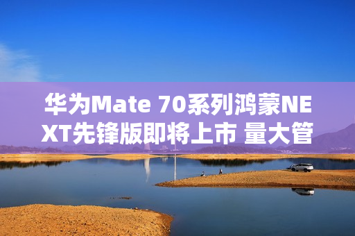 华为Mate 70系列鸿蒙NEXT先锋版即将上市 量大管够？