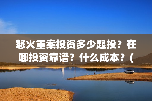 怒火重案投资多少起投？在哪投资靠谱？什么成本？(怒火重案投资金额)