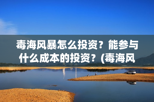 毒海风暴怎么投资？能参与什么成本的投资？(毒海风暴有哪几家拍摄)