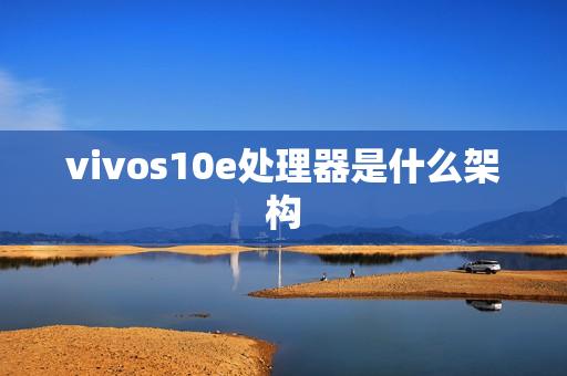 vivos10e处理器是什么架构