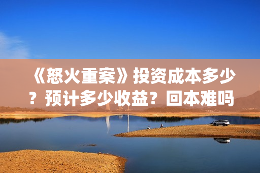 《怒火重案》投资成本多少？预计多少收益？回本难吗？(怒火重案片名)