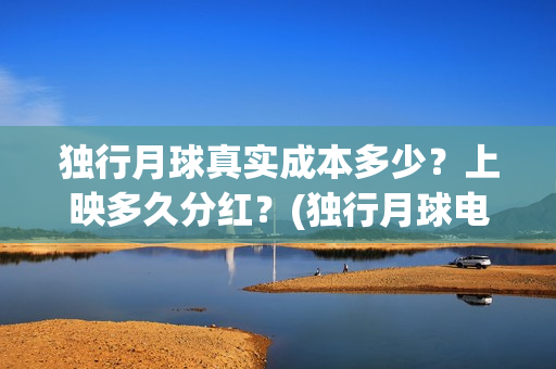 独行月球真实成本多少？上映多久分红？(独行月球电影演员表)