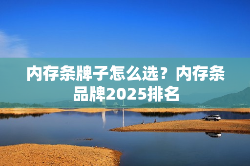 内存条牌子怎么选？内存条品牌2025排名