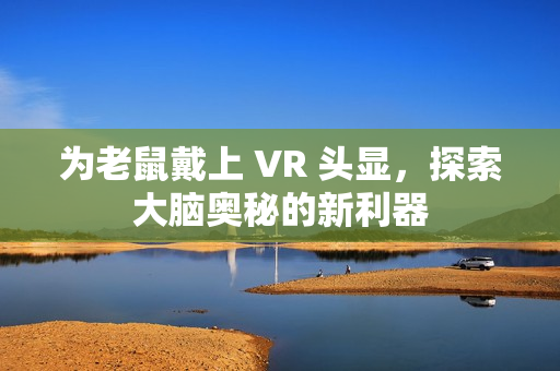 为老鼠戴上 VR 头显，探索大脑奥秘的新利器