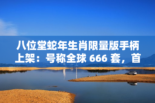八位堂蛇年生肖限量版手柄上架：号称全球 666 套，首发价 198 元
