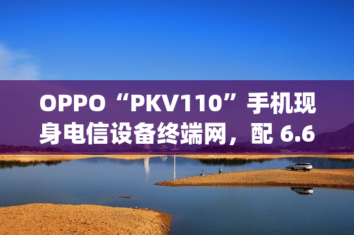 OPPO“PKV110”手机现身电信设备终端网,配 6.67 英寸 1604×720 分辨率屏幕 OPPO“PKV110”手机现身电信设备终端网,配 6.67 英寸 1604×720 分辨率屏幕