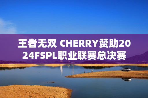 王者无双 CHERRY赞助2024FSPL职业联赛总决赛 王者无双 CHERRY赞助2024FSPL职业联赛总决赛