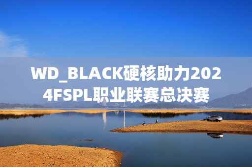 WD_BLACK硬核助力2024FSPL职业联赛总决赛