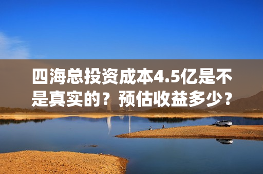 四海总投资成本4.5亿是不是真实的？预估收益多少？(四海 成本)