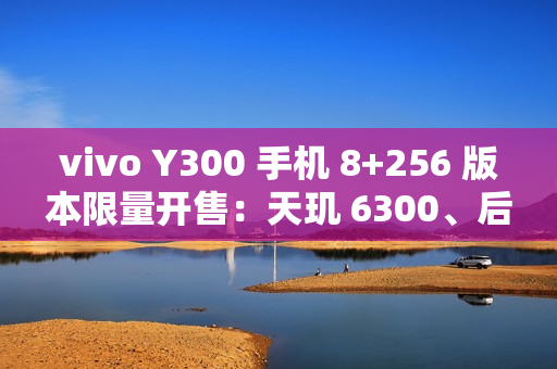 vivo Y300 手机 8+256 版本限量开售：天玑 6300、后置扬声器设计，首发 1499 元