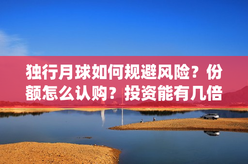 独行月球如何规避风险？份额怎么认购？投资能有几倍的回报率？(《独行月球》)