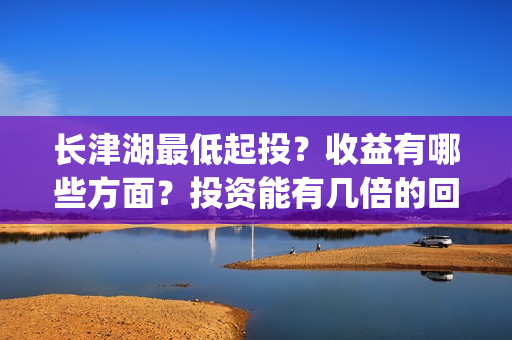 长津湖最低起投？收益有哪些方面？投资能有几倍的回报率？(长津湖2021tc)