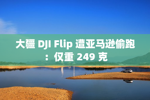 大疆 DJI Flip 遭亚马逊偷跑：仅重 249 克