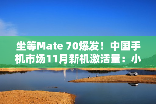 坐等Mate 70爆发！中国手机市场11月新机激活量：小米力压华为、苹果第一