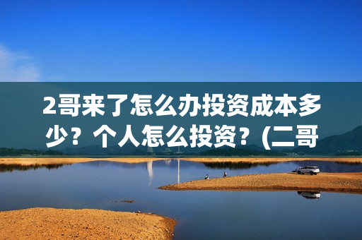 2哥来了怎么办投资成本多少？个人怎么投资？(二哥来了怎么办hd)