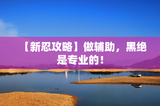 【新忍攻略】做辅助，黑绝是专业的！