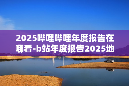 2025哔哩哔哩年度报告在哪看-b站年度报告2025地址分享