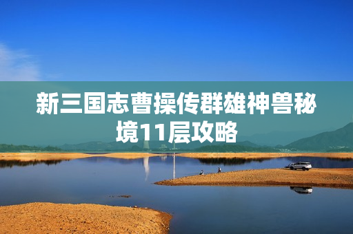 新三国志曹操传群雄神兽秘境11层攻略