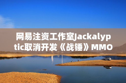 网易注资工作室Jackalyptic取消开发《战锤》MMORPG截图曝光