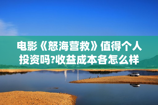 电影《怒海营救》值得个人投资吗?收益成本各怎么样?(电影怒海营救总投资)