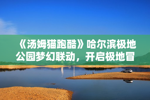 《汤姆猫跑酷》哈尔滨极地公园梦幻联动，开启极地冒险！12月22日开启你的冬日奇梦！