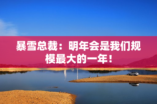 暴雪总裁：明年会是我们规模最大的一年！