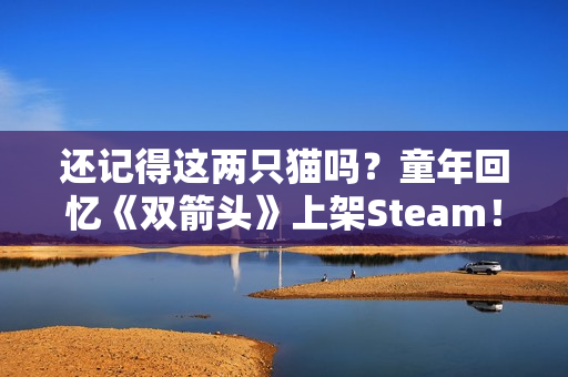 还记得这两只猫吗?童年回忆《双箭头》上架Steam! 还记得这两只猫吗?童年回忆《双箭头》上架Steam!