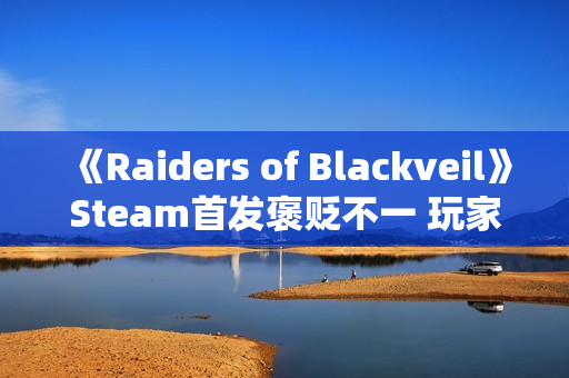 《Raiders of Blackveil》Steam首发褒贬不一 玩家：土豆服务器还敢强制联网？