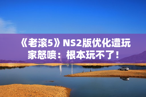 《老滚5》NS2版优化遭玩家怒喷：根本玩不了！