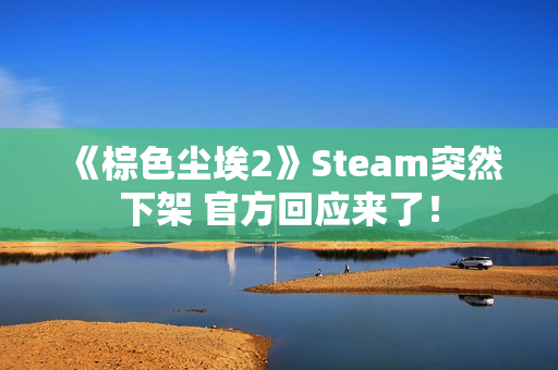 《棕色尘埃2》Steam突然下架 官方回应来了！
