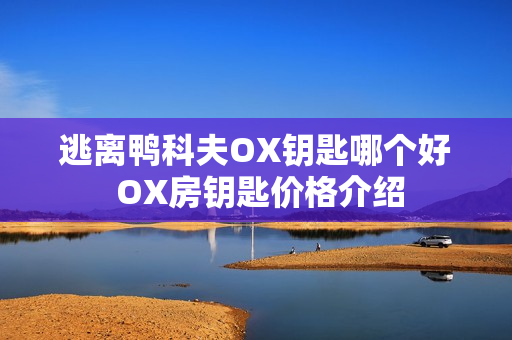 逃离鸭科夫OX钥匙哪个好 OX房钥匙价格介绍