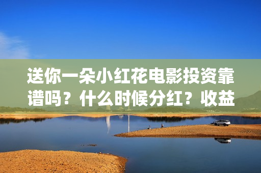 送你一朵小红花电影投资靠谱吗？什么时候分红？收益怎么算(送你一朵小红花演员表)