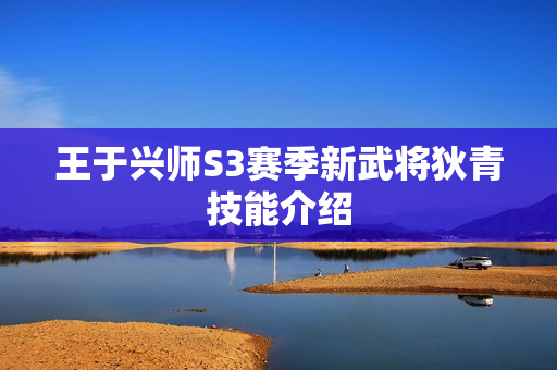 王于兴师S3赛季新武将狄青技能介绍
