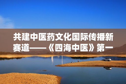 共建中医药文化国际传播新赛道——《四海中医》第一季成果研讨会在京举行(中医药文化建设内容)